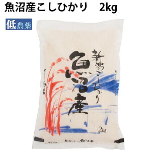 YЂ 2kg× 1܁@_͔|@RVqJ