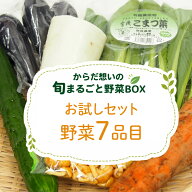 ベジタブルハート 野菜セット 【からだ想いの旬まるごと野菜BOX お試し 7品目セット】お一人様1回限り ト…