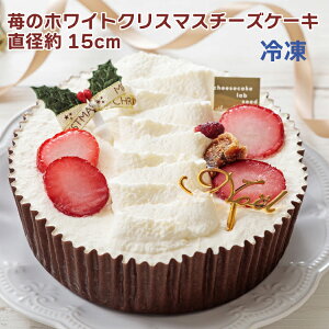 y\zNX}XP[L seed 䕂̃zCgNX}X`[YP[L a15cm 1@GVJ`[YP[LX̃`[YP[L mَq@Ⓚ LO a@\F12/10`