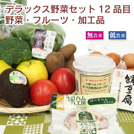 ベジタブルハート　デラックス野菜セット（12品目）旬の野菜とフルーツ・卵・ハムソーセージなど冷蔵庫にあると便利な食材をセットでお届け 野菜セット 詰め合わせ 旬 ギフト 贈り物 プレゼント お取り寄せ お中元 お歳暮