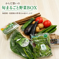 ベジタブルハート 野菜セット 【からだ想いの旬まるごと野菜BOX】野菜10品目 無農薬と低農薬だけ！毎週内…