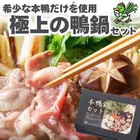 本鴨鍋セット 八甲田本鴨肉 国産特製スープ付き 旨み調味料無添加ごちそう鍋 ギフト 贈答 自宅用 お取り寄せ【選べます　2人前（野菜なし）・2人前（野菜付き）・4人前（野菜なし）・4人前（野菜付き）】