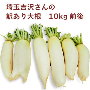 _ 卪 󂠂 i KiO Ԍ ϕ 낵 ݂  5kgE10kgIׂ܂