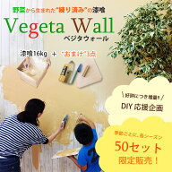 シーズン限定50セット！DIY応援セット登場!!ベジタウォール16kg＋コテ2種＋コテ板練済みで体に優しい当店…