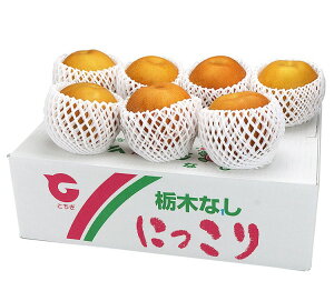 Ȗ،Y ɂ藜 5.0kg