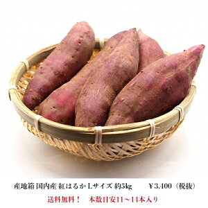 Ă@Y@g͂邩@LTCY@5Kg@Yn