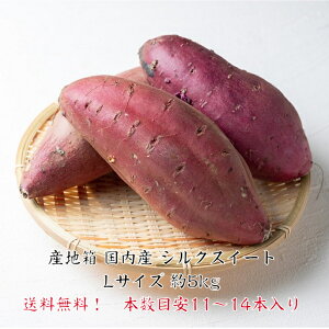 ĂœK@Y@VNXC[g@LTCY@5kg@Yn