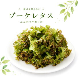 【 野菜工場 Vegetory ブーケレタス / 350g 】 お中元 夏ギフト リーフ レタス 水耕栽培 生で食べれる 野菜 産地直送 無農薬 無農薬野菜 農薬不使用 洗わず食べられる 無農薬レタス 愛知県産 生野菜 サラダ カフェ風サラダ ブーケレタス お取り寄せ 国産 そのまま食べられる