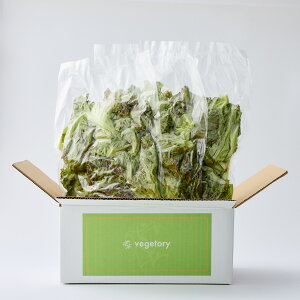 �y ��؍H�� Vegetory �u�[�P���^�X / 350g �z ���[�t ���^�X ���k�͔| ���ŐH�ׂ�� ��� �Y�n���� ���_�� ���_���� �_��s�g�p ��킸�H�ׂ��� ���_�򃌃^�X ���m���Y ����� �T���_ �J�t�F