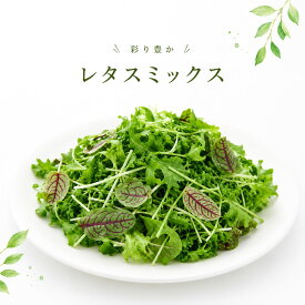 【 野菜工場 Vegetory レタスミックス / 500g 】 リーフ レタス 水耕栽培 生で食べれる 野菜 産地直送 無農薬 無農薬野菜 農薬不使用 洗わず食べられる 無農薬レタス 愛知県産 生野菜 サラダ サラダ用 レタスミックス お取り寄せ 新鮮 そのまま食べられる