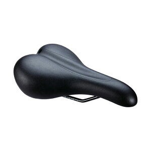 BBB �r�[�r�[�r�[ SADDLE �T�h�� BASEDENSITY �x�[�X�f���V�e�B�[ BSD-86(651710)(8716683098525)