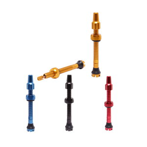 TNI eB[GkAC NOCLOG TUBELESS VALVE Noclog `[uX ou 60mm A~  2{