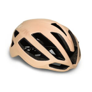 KASK JXN PROTONE ICON WG11 vg[l ACR Tn}bg(JCFF)wbg