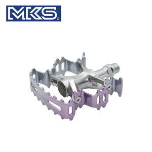 MKS O y_ AURORA I[ p[v/Vo[ y_(4560369006717)