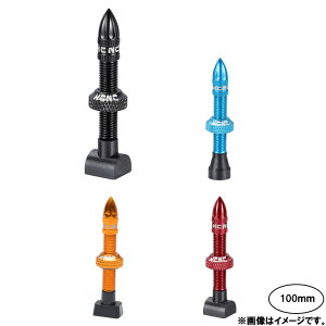 ([֑Ήi)KCNC P[V[GkV[ ALUMINUM TUBELESS VALVE A~`[uXou 100mm(Ή̖ڈ:65`85mm) 2