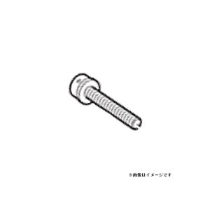 ([֑Ήi)SHIMANO V}m CONVERTER FIXING SCREW Ro[^[ t{g yAp[c