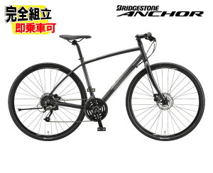 2025 BRIDGESTONEuaXgANCHOR AJ[ RL1 MECHANICAL DISC @BfBXNu[Lf ~bhiCgubN