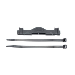 ([)([֑Ήi)CARRADICE L_CX BAGMAN ADAPTER obO}A_v^[ ThobOIvV(4948107269172)