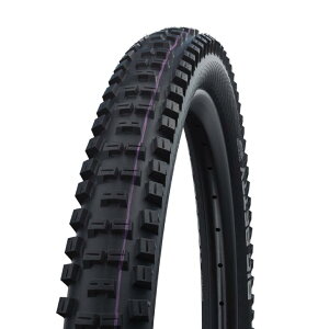 SCHWALBE Vx BIG BETTY rbOxeB SUPER DOWNHILL X[p[_Eq ubN(1{)MTB ^C