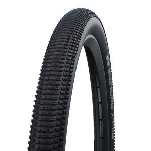SCHWALBE Vx BILLY BONKERS r[{J[Y ubN Pu[r[h(1{)MTB ^C