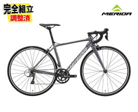 (特典付き!)2025 MERIDA メリダ SCULTURA RIM 100 スクルトゥーラ リム 100 シルクアンスラサイト【EK82】ロードバイク