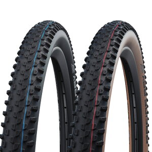 SCHWALBE �V�������x RACING RAY ���[�V���O ���C Evolution Line(1�{)MTB �^�C��