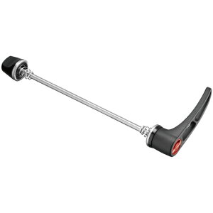 (���[���֑Ή����i)DT SWISS DT �X�C�X HWQASM00S2953S RWS �t�����g�p(7630013901662)�N�C�b�N�����[�Y