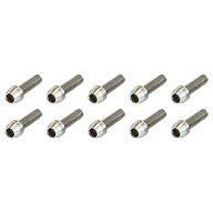 (即納)(メール便対応商品)ADEPT アデプト AS5 Stainless Bolt Set AS5 ステンレス ボルト 10本セット