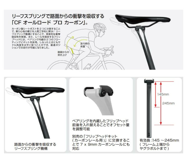 楽天市場】ERGON エルゴン Seat posts シートポスト CF Allroad Pro 
