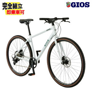 (Tt!)2025 GIOS WIX ARIES AGX Ip[zCg 8iϑ NXoCN