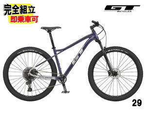 (Tt!)GT W[eB[ AVALANCHE EXPERT V2 29 Ao`F GLXp[gV2 29 p[v