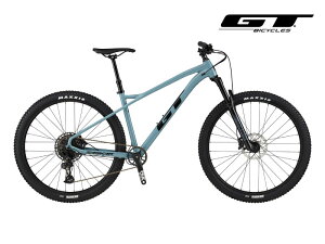 (IׂTt) GT W[eB[ ZASKAR LT EXPERT UXJ[ GEeB[ GLXp[g W[O[ 12speed 29C` MTB }EeoCN