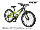 (選べる特典付) GT ジーティー STOMPER HT ACE 20 ストンパーHTエース20 シャルトリューズ 7段変速 20インチ ジュニアバイク(推奨身長：122-135cm)
