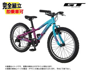 (Tt!) GT W[eB[ STOMPER HT ACE 20 Xgp[HTG[X20 Yx[ 7iϑ 20C` WjAoCN(gF122-135cm)