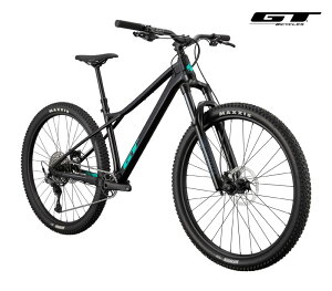 (IׂTt)GT W[eB[ ZASKAR LT ELITE UXJ[ GEeB[ G[g ubN 11speed 29C` MTB }EeoCN