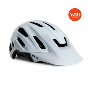 KASK JXN CAIPI WG11 JCs WG11 zCg wbg