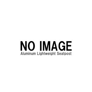 DAHON _z Aluminum Lightweight Seatpost A~jECgEFCgV[g|Xg 33.9mm