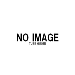 TERN ^[ TUBE `[u 650p  TERNi(1{)