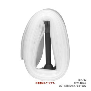 SCHWALBE Vx AEROTHAN TUBE GAU `[u 19E-SV 29h ETRTO:54/62-622  40mm TPU`[u(4026495776608)