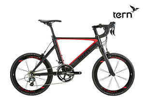 (IׂTt) TERN ^[ SURGE PRO -DELTA- T[Wv f^bh 2×10S ~jxEa