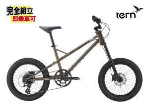 (Tt!)2026 TERN ^[ MASHUP }bVAbv A[ouY 8iϑ ~jx a