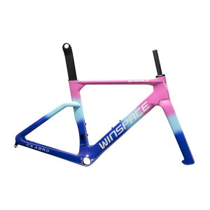 WINSPACE EBXy[X C5 AERO FRAME SET t[Zbg gCCgOE