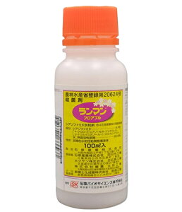 ʃlMAނ̃xƕa̓I@}tAu@100ml@}@܂@_