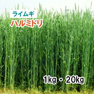 Hdy p CM z n~h iɑj 1kg 20kg 炢 q q ̑ Ή ͔|p q JlRc