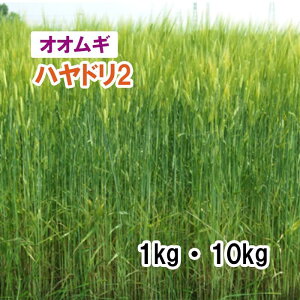Hdy p IIM z nh2 iɑj 1kg 10kg 唞 q q ̑ ͔|p Ή q JlRc