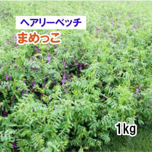 Hdy Δ  wA[xb` z ܂߂ 1kg q ̑ ͔|p Ή  q JlRc