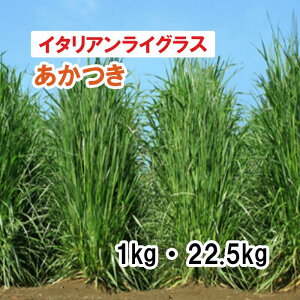 y p C^ACOX z  iɑEZp^j PVP 1kg 22.5kg q q ̑ Ή ͔|p q JlRc