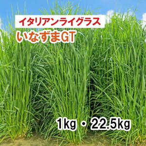 y p C^ACOX z ȂGT iEZp^j 1kg 22.5kg q q ̑ Ή ͔|p q JlRc