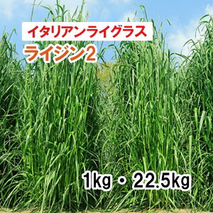 y p F1 C^ACOX z CWR2 iEZp^j 1kg 22.5kg q q ̑ Ή ͔|p q JlRc