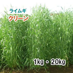 Hdy p CM z N[ iɑj 1kg 20kg 炢 q q ̑ Ή ͔|p q JlRc